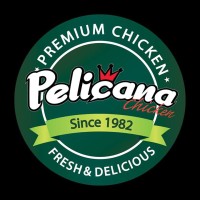 Pelicana logo - Similar company to Jko Business & Tax Solutions