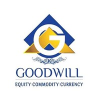 Goodwill Wealth Management Pvt Ltd logo - Similar company to Pristine Ideas