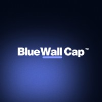 BlueWall Capital logo - Similar company to Bluewall Capital Ltd
