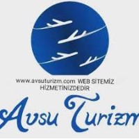 Avsu Turizm Acenta Şirketi logo - Similar company to Kumru Turizm