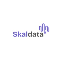 Skaldata logo - Similar company to Ciso Llc