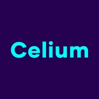 Celium Recruitment logo - Similar company to Celium Group