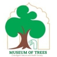 Museum of Trees logo - Similar company to 1881 Global Mobility