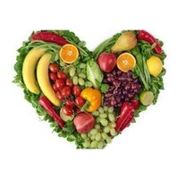 Eco Vegan logo - Similar company to Strô