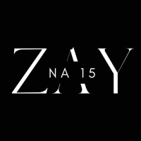 zay na15 logo - Similar company to Zay