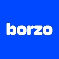 BORZO logo - Similar company to Borzo México