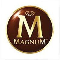 The Magnum Ice Cream Company