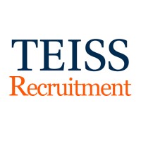TEISS Recruitment logo - Similar company to Technical Cyber | Specialist Cyber Recruiters