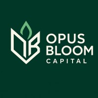 Opus Bloom Capital logo - Similar company to Marshall Junction Partners