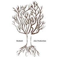 BENKADI JOIE PRODUCTION logo - Similar company to Active Gestion