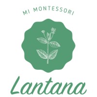 Montessori Internacional MI Lantana logo - Similar company to Irmagine It