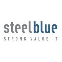 Steel Blue logo - Similar company to Ntd Sa