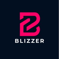 blizzer1 logo - Similar company to Idever Inteligência Digital