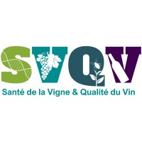 UMR SVQV - Colmar logo - Similar company to Grapebreed4Ipm Eu Project