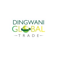 Dingwani Global trade logo - Similar company to Techops Center