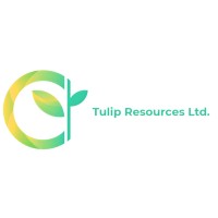 Tulip Resources Ltd logo - Similar company to Tellus Report