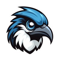 Vögele Drone Services logo - Similar company to Secutronic Ag