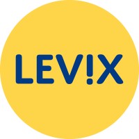 Levix ICT Groep logo - Similar company to Like-It