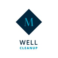 Well Cleanup AS