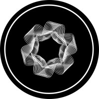Noire Project logo - Similar company to Cyberbrush
