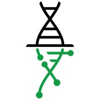 AI Health Studio logo - Similar company to Wingrants.Ai