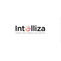 Intelliza Solutions Pvt Ltd logo - Similar company to Nextgen Data Technologies