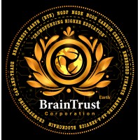 Brain Trust Earth Corporation logo - Similar company to Commentinsight