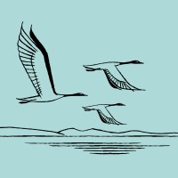 Laguna de los Cisnes logo - Similar company to One King North