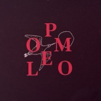Pomelo logo - Similar company to Powers Gymnastics