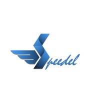 Speedy Solutionz logo - Similar company to Aucarga
