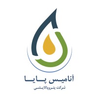 Anamis Paya Petro Refinery logo - Similar company to Black Diamond Refinery
