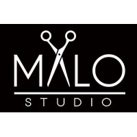 MALO STUDIO logo - Similar company to Programavimo Mokytojas