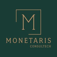 Monetaris Consultech logo - Similar company to Vsocial