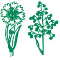 Nykilde logo - Similar company to Byblomst - Mere Liv I Byen