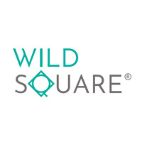 WILD SQUARE logo - Similar company to Starshot Software