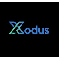 Xodus Capital Finance logo - Similar company to Bloomprint