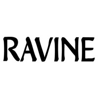Ravine Studios logo - Similar company to Phoenix Integrated Security