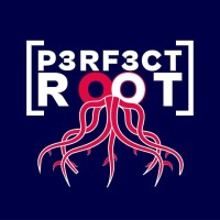 p3rf3ctr00t logo - Similar company to Netcom Business It Solutions