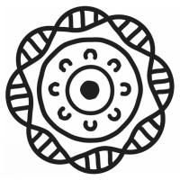 ANU NCIG (National Centre for Indigenous Genomics) logo - Similar company to Aboriginal Data Sovereignty