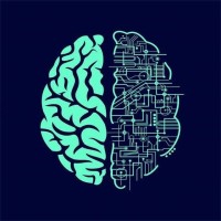 TritaMedX logo - Similar company to Ai Community |انجمن هوش مصنوعی ایران