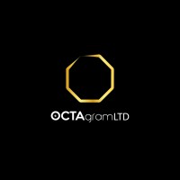 Octagram Limited logo - Similar company to Datafluent Analytics