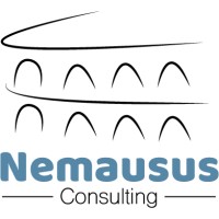 NEMAUSUS Consulting logo - Similar company to Acnbc