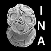 International Nannoplankton Association logo - Similar company to Petrostrat