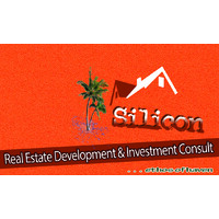 SILICON REAL ESTATE DEVELOPMENT AND INVESTMENT CONSULT logo - Similar company to Shadd Engineering Consult