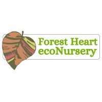 Forest Heart ecoNursery logo - Similar company to Hunter Digit