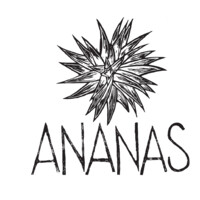 Ananas permaculture logo - Similar company to Agriac