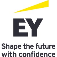Werken bij EY logo - Similar company to Delta Advisory B.V.