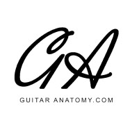 Guitar Anatomy logo - Similar company to Guitar Crate