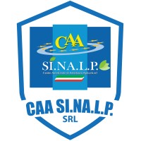 CAA SI.NA.L.P. srl logo - Similar company to Studio Legale Ambrosio Law Firm