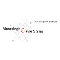 Maarsingh & van Steijn Groningen logo - Similar company to Spellenwereld